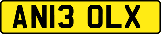 AN13OLX