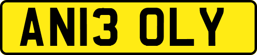 AN13OLY