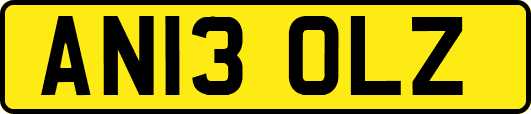AN13OLZ