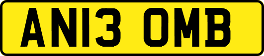 AN13OMB