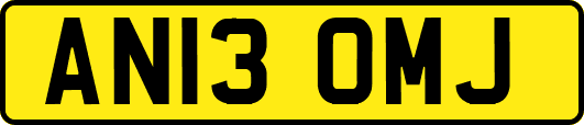 AN13OMJ
