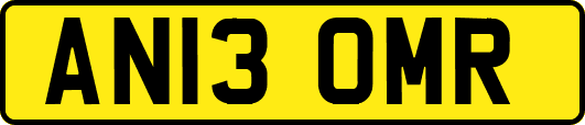AN13OMR