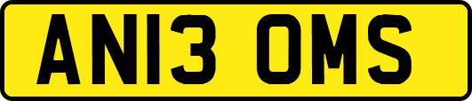 AN13OMS
