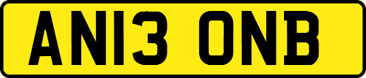 AN13ONB