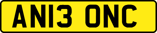 AN13ONC