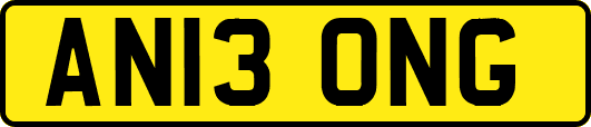 AN13ONG