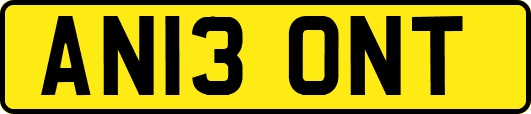 AN13ONT