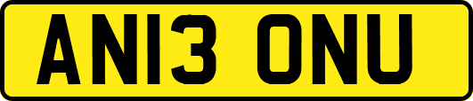 AN13ONU