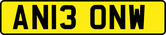 AN13ONW