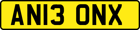 AN13ONX