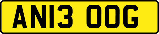 AN13OOG