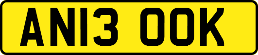 AN13OOK