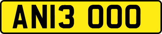 AN13OOO