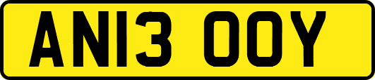 AN13OOY