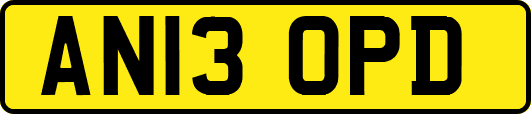 AN13OPD
