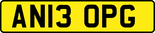 AN13OPG