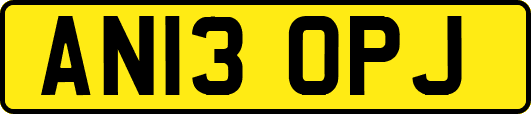 AN13OPJ