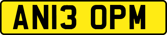 AN13OPM