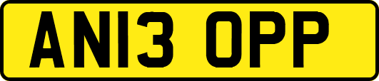 AN13OPP