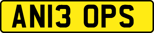 AN13OPS
