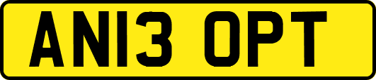 AN13OPT