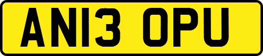 AN13OPU