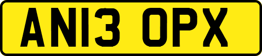 AN13OPX