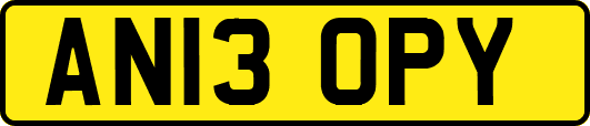 AN13OPY