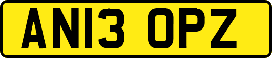 AN13OPZ