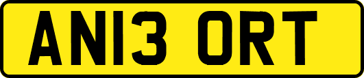 AN13ORT
