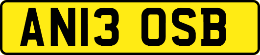 AN13OSB