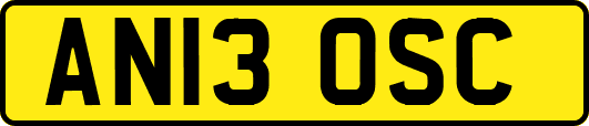 AN13OSC