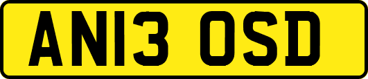 AN13OSD