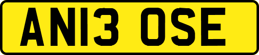AN13OSE
