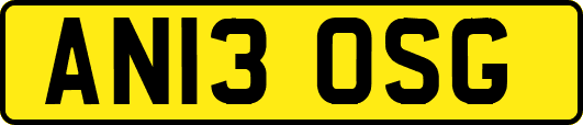 AN13OSG