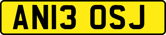 AN13OSJ
