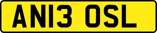 AN13OSL