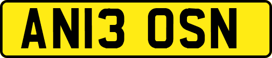 AN13OSN