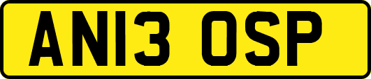 AN13OSP