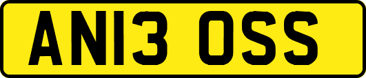 AN13OSS