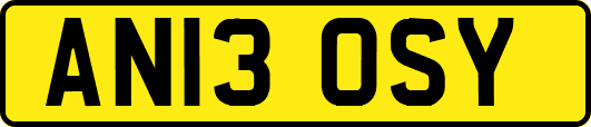 AN13OSY