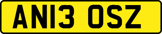 AN13OSZ
