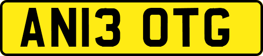 AN13OTG
