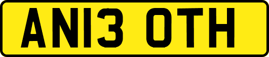 AN13OTH