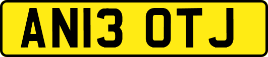 AN13OTJ