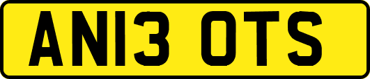 AN13OTS