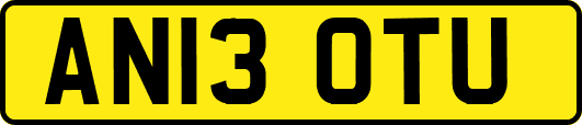 AN13OTU