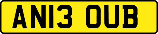 AN13OUB
