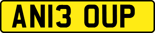 AN13OUP