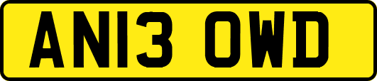 AN13OWD